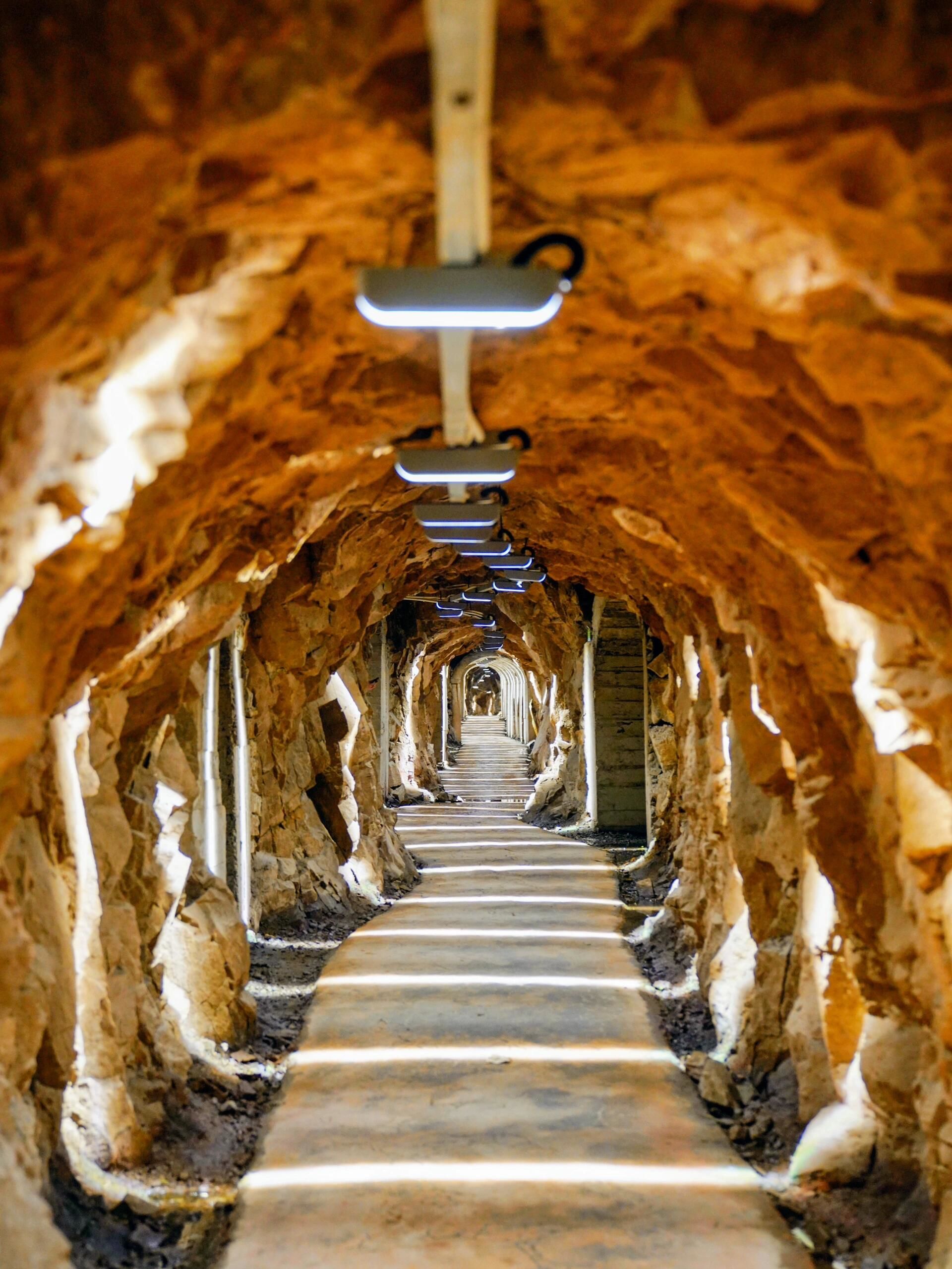 99%人不知道💯上海周边居然有神秘防空洞‼