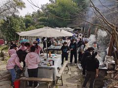 -宁波浙东大竹海景区