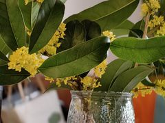 -八珍手工水饺·妈妈的爱(传芳巷店)