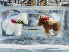 -沈阳奥体冰雪嘉年华