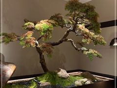 -湘上湘(米其林餐厅-正大中心总店)