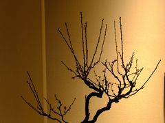 -吴门人家·苏宴宫廷菜(拙政园店)