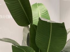 -深圳麦芽口腔医院(罗湖总院)