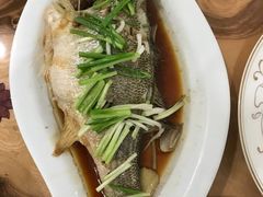 鲈鱼-小李旗花面庄
