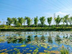 -永定河休闲森林公园