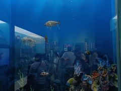 -国家自然博物馆