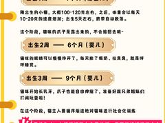 -申普宠物医院·心脏介入·心血管微创(总院)