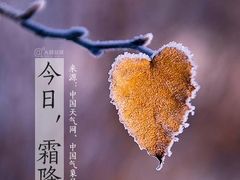 -金子小一一儿童军校幼儿园(德望里分园)