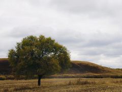 -塞罕坝国家级自然保护区