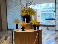 -亚特兰蒂斯-番红花海鲜自助餐厅·鲜活海鲜·小火锅
