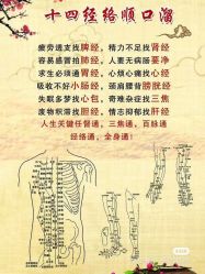 点击看大图 -香薇妮丝女子减肥院