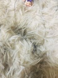 -周大福CHOW TAI FOOK传承珠宝店(石路国际商城店)