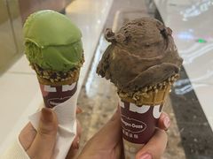 -哈根达斯(石家庄北国店)
