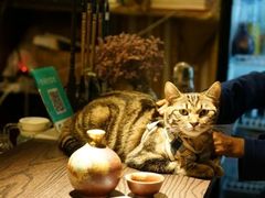 -蘭葶花酒馆(鼓楼店)