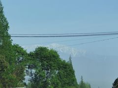 -张醪糟