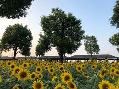 -仙岳公园