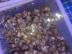 -星伦多自助料理·涮烤一体(虹悦城店)