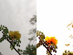 -天坛公园