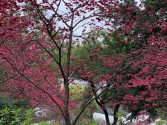 -乌山风景区