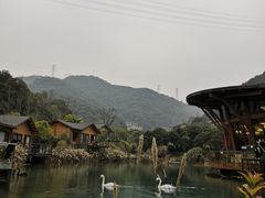 -杭州开元森泊度假乐园