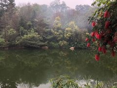 -云溪植物园