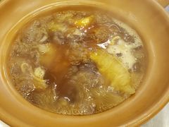 -大中鱼翅 Taitong Shark Fin