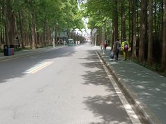 -日照海滨国家森林公园