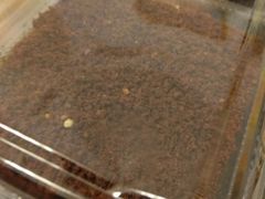 -爱德顺糕点食屋(利民道店)