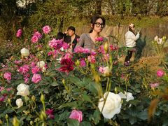 -人民公园(罗湖区)