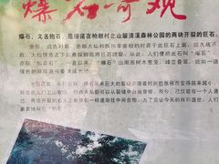 -清溪森林公园