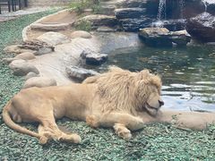 -北京野生动物园