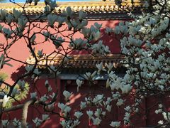 -北京市劳动人民文化宫(太庙)