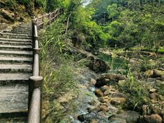 -广州白江湖森林公园