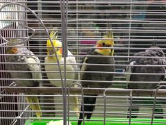 -三旗百汇商品城