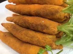-丁老爷子苏香圆