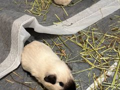 -上海海事大学(临港校区)