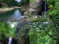 -坛南湾阿强农家乐.海鲜大排档老字号(福州地标美食店)