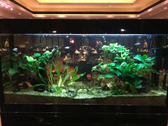-海天楼中餐厅(吴宫泛太平洋酒店)