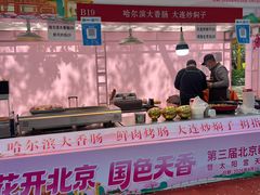 -太阳宫公园