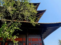 -广富林郊野公园