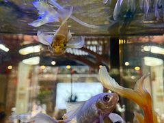 -名善山珍·野生菌汤锅(文殊院店)