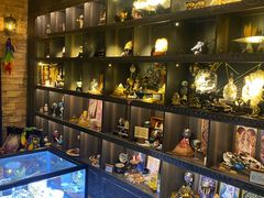 -雪灵魔法世界SHELLY’S TAROT(大良桂畔里店)