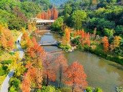 -云溪植物园
