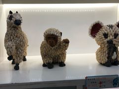 -贝壳梦幻世界