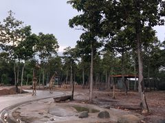-清迈夜间动物园