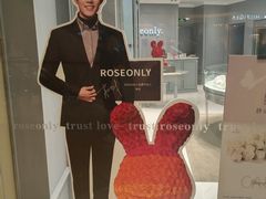 -ROSEONLY诺誓(广州K11店)