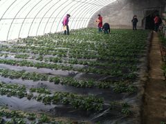 056-意大利农场度假村