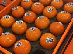 -西郊国际农产品交易中心