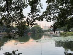 -荔湾湖公园