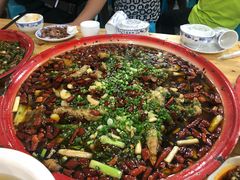 -东吴霸王兔(松青路店)